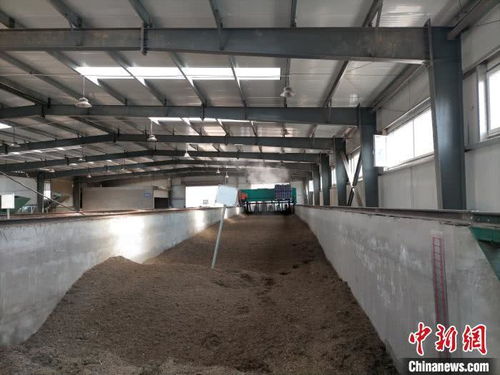 山西太原 園林垃圾資源化再利用，綠廢“變身”科創(chuàng)產(chǎn)品